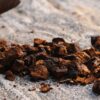 Chaga mushroom